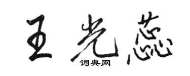 駱恆光王光蕊行書個性簽名怎么寫