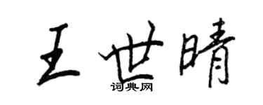 王正良王世晴行書個性簽名怎么寫