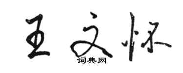 駱恆光王文懷行書個性簽名怎么寫