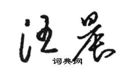 駱恆光汪晨草書個性簽名怎么寫