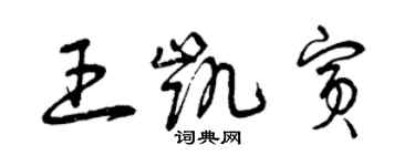 曾慶福王凱賓草書個性簽名怎么寫