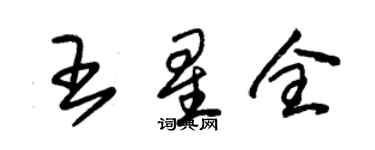 朱錫榮王星全草書個性簽名怎么寫