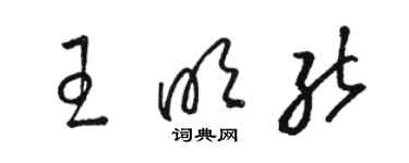 駱恆光王明能草書個性簽名怎么寫