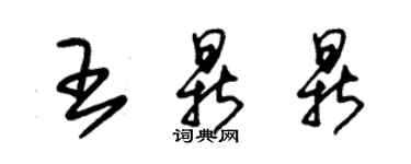 朱錫榮王鼎鼎草書個性簽名怎么寫