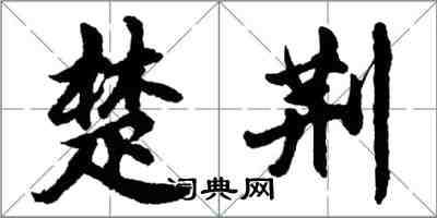 胡問遂楚荊行書怎么寫