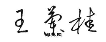 駱恆光王蘭桂草書個性簽名怎么寫