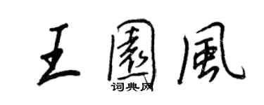 王正良王園風行書個性簽名怎么寫