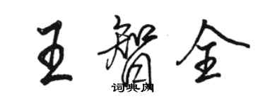 駱恆光王智全行書個性簽名怎么寫