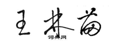 駱恆光王林苗草書個性簽名怎么寫