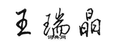 駱恆光王瑞晶行書個性簽名怎么寫