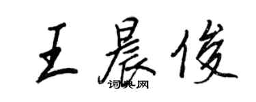 王正良王晨俊行書個性簽名怎么寫