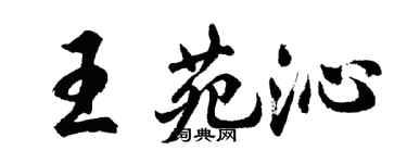 胡問遂王苑沁行書個性簽名怎么寫