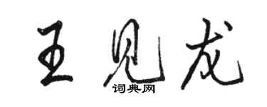 駱恆光王見龍行書個性簽名怎么寫