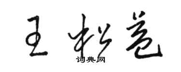 駱恆光王松益草書個性簽名怎么寫