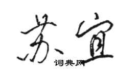 駱恆光蘇宜行書個性簽名怎么寫