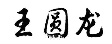 胡問遂王圓龍行書個性簽名怎么寫