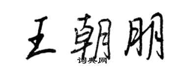 王正良王朝朋行書個性簽名怎么寫