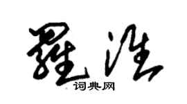 朱錫榮羅淮草書個性簽名怎么寫