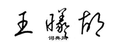 梁錦英王曦胡草書個性簽名怎么寫