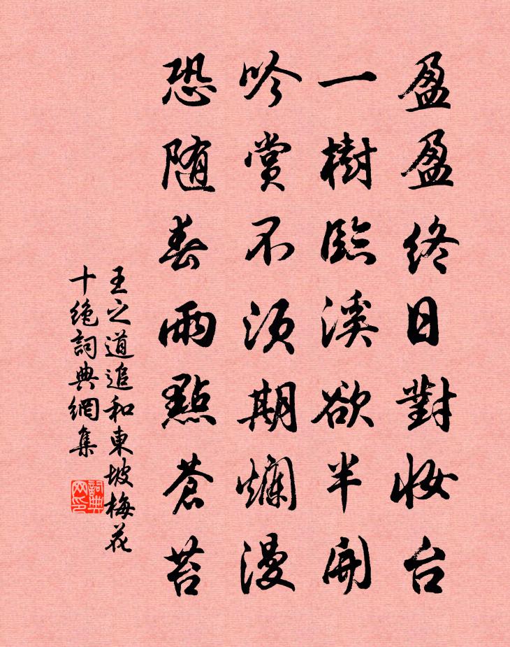 王之道追和東坡梅花十絕書法作品欣賞