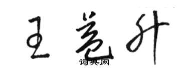 駱恆光王益升草書個性簽名怎么寫