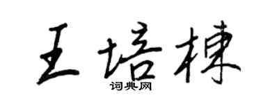 王正良王培棟行書個性簽名怎么寫