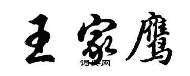 胡問遂王家鷹行書個性簽名怎么寫