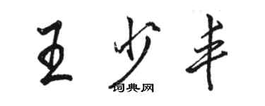 駱恆光王少豐行書個性簽名怎么寫