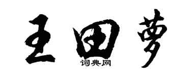 胡問遂王田蘿行書個性簽名怎么寫