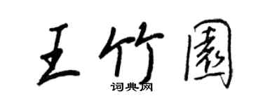 王正良王竹園行書個性簽名怎么寫