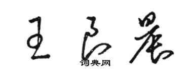 駱恆光王良晨草書個性簽名怎么寫