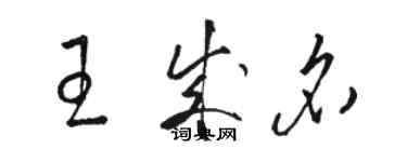 駱恆光王成名草書個性簽名怎么寫