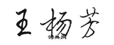 駱恆光王楊芳行書個性簽名怎么寫