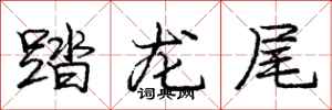 龐中華踏龍尾行書怎么寫