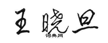 駱恆光王曉旦行書個性簽名怎么寫