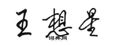 駱恆光王想星行書個性簽名怎么寫