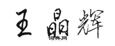 駱恆光王晶輝行書個性簽名怎么寫