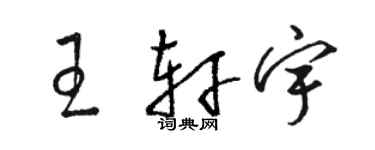 駱恆光王軒宇草書個性簽名怎么寫