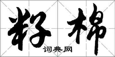 胡問遂籽棉行書怎么寫