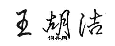 駱恆光王胡潔行書個性簽名怎么寫