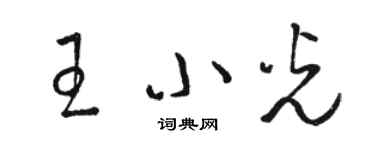 駱恆光王小光草書個性簽名怎么寫