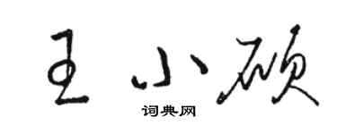 駱恆光王小碩草書個性簽名怎么寫