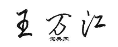 駱恆光王萬江行書個性簽名怎么寫
