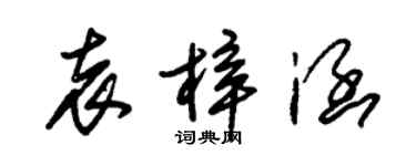 朱錫榮袁梓涵草書個性簽名怎么寫