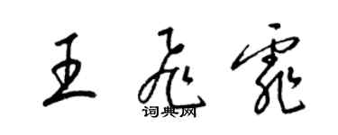 梁錦英王飛霏草書個性簽名怎么寫