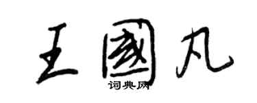 王正良王國凡行書個性簽名怎么寫