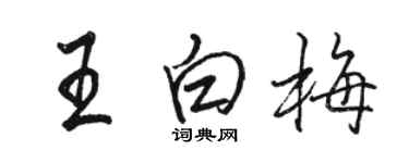 駱恆光王白梅行書個性簽名怎么寫