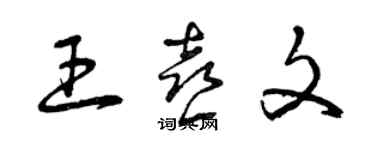 曾慶福王喜文草書個性簽名怎么寫