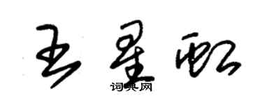 朱錫榮王星虹草書個性簽名怎么寫