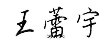 王正良王蕾宇行書個性簽名怎么寫